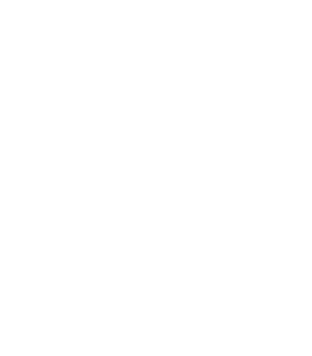 Lit fibre Logo