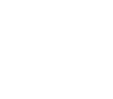 Merit Winner 2018 Logo